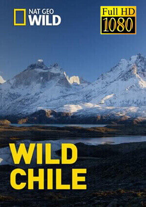 Wild Chile Temporada 1 [1080p]